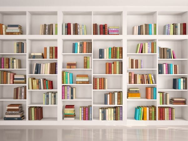 Bookshelf Assembly in Coeur D Alene